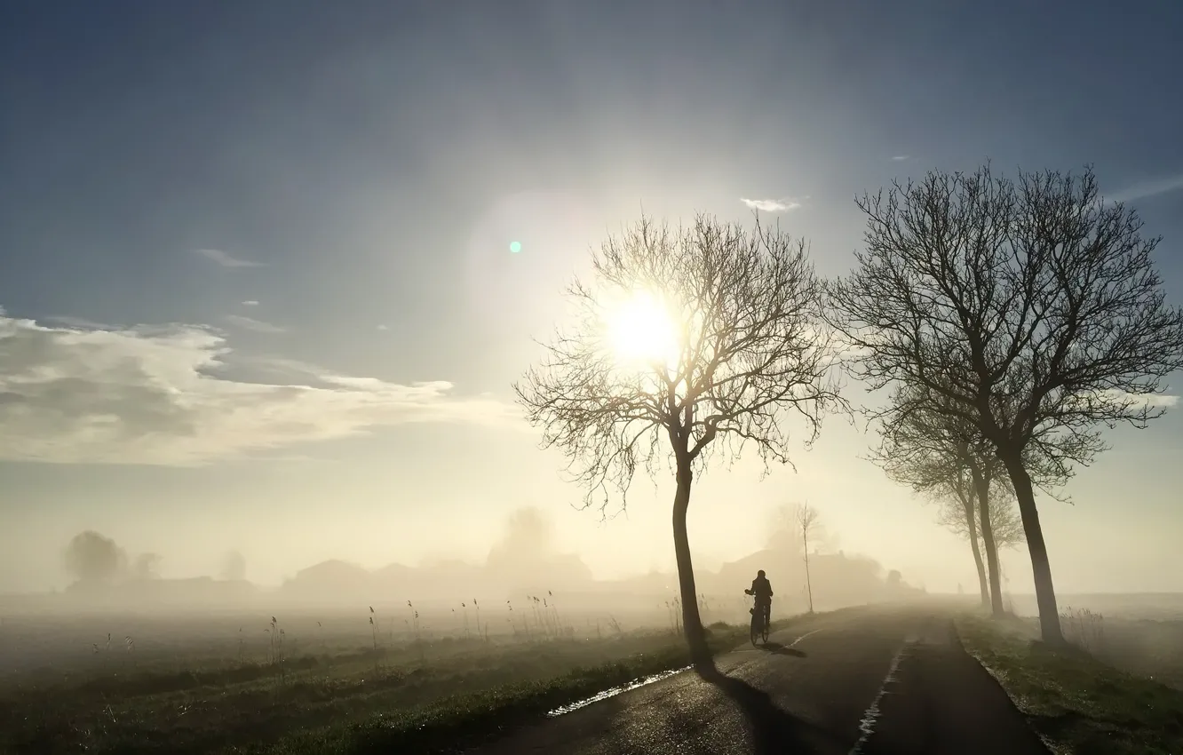 Фото обои дорога, свет, велосипед, туман, утро