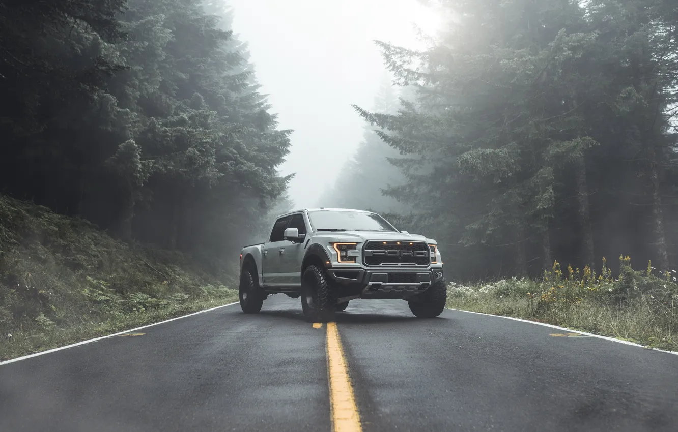 Фото обои Ford, Raptor, пикап, F-150, 2019, by Aaron Brimhall