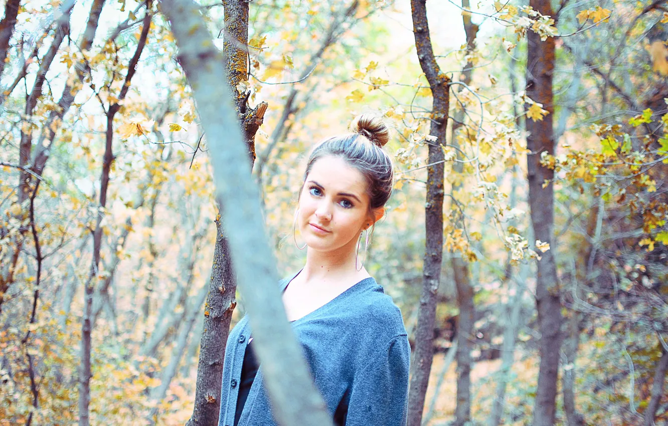 Фото обои girl, autumn, woodland
