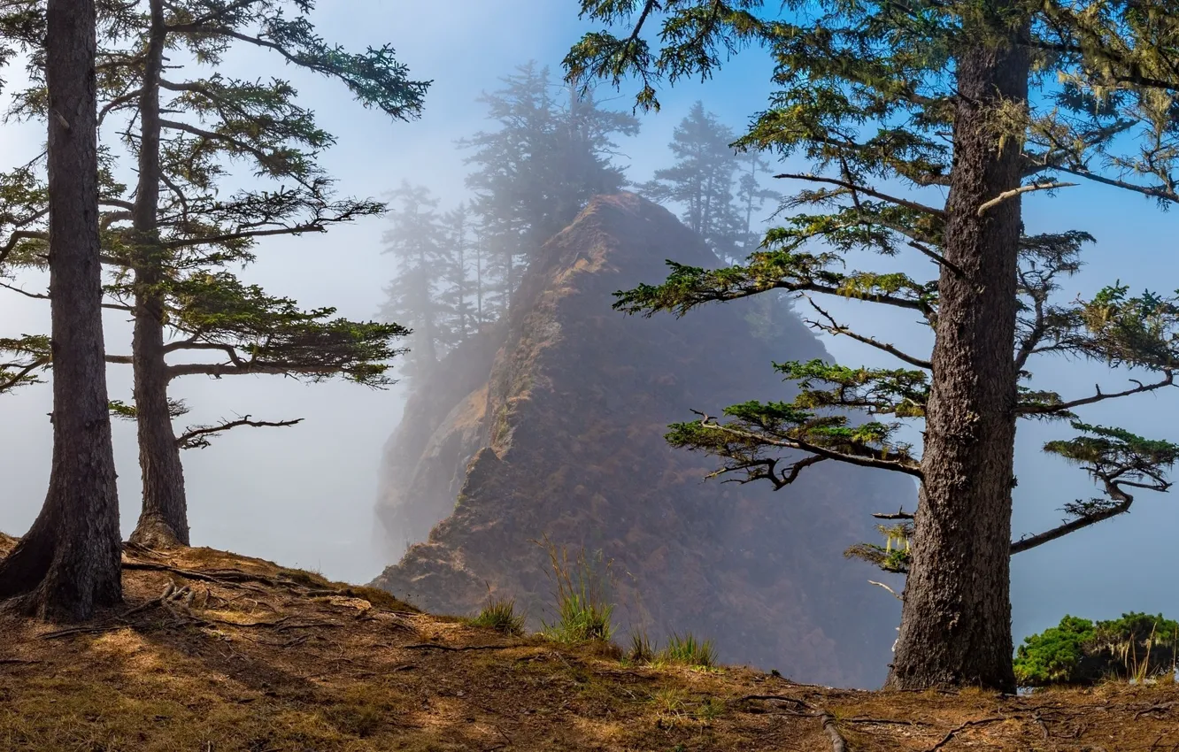Фото обои деревья, природа, скала, гора, дымка