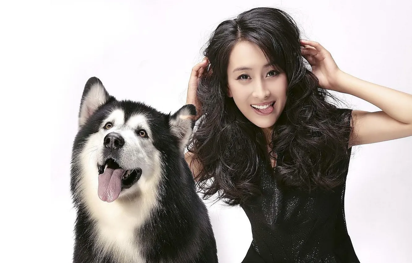 Фото обои девушка, настроение, собака