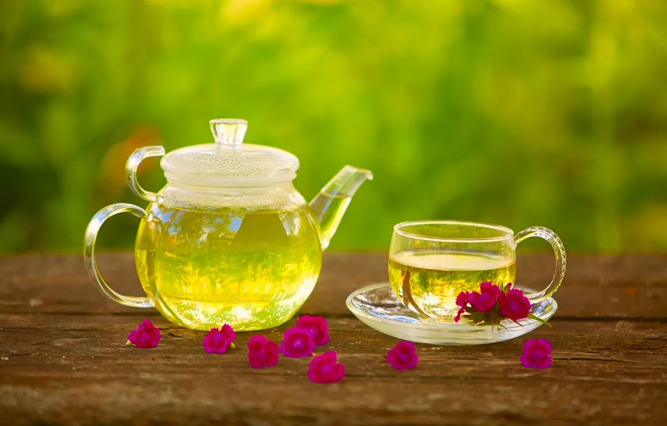 Фото обои цветы, зеленый, чай, напиток