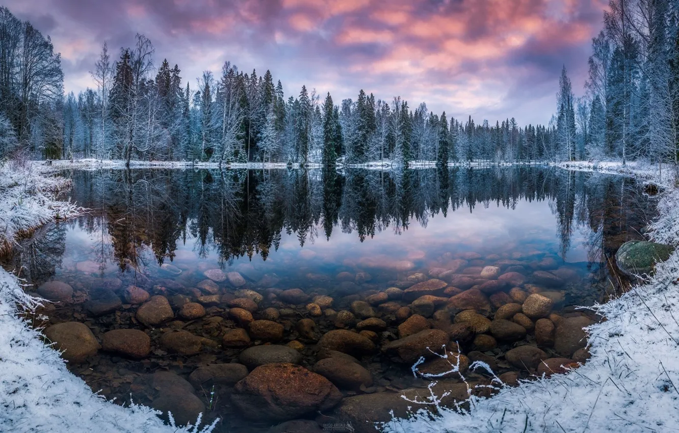 Фото обои зима, лес, небо, облака, снег, деревья, тучи, природа