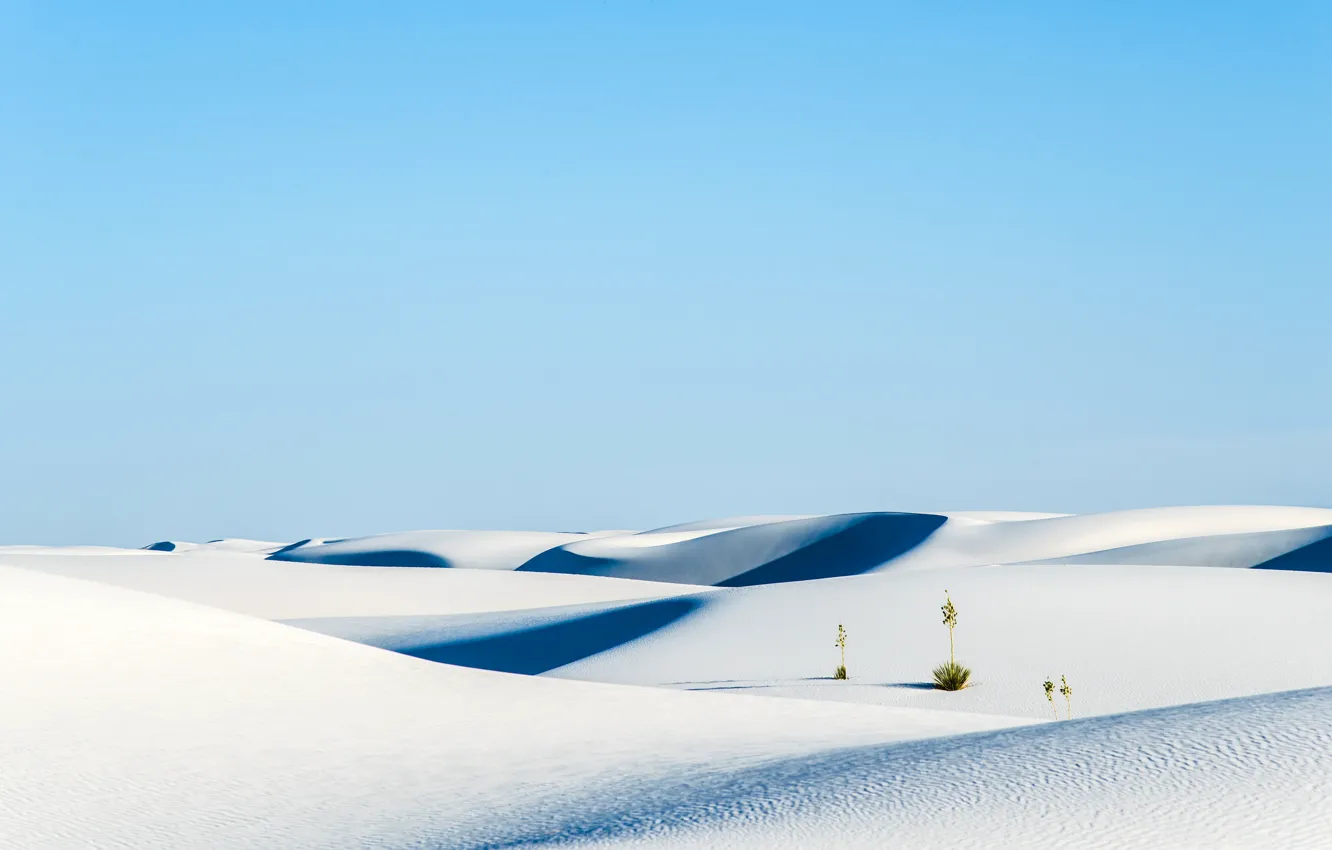 Фото обои пустыня, США, белый песок, Нью Мексико