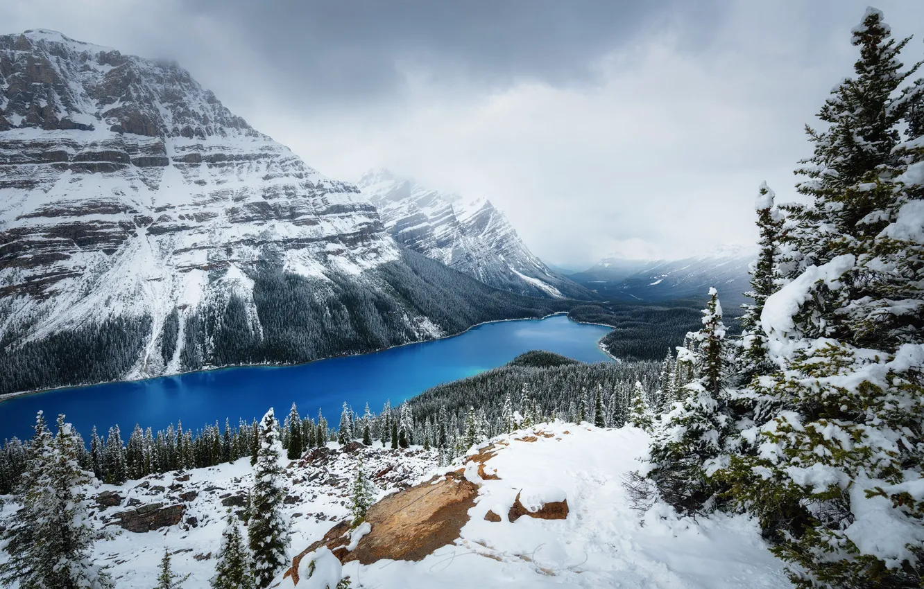 Фото обои зима, лес, снег, Горы, Канада, озеро Peyto