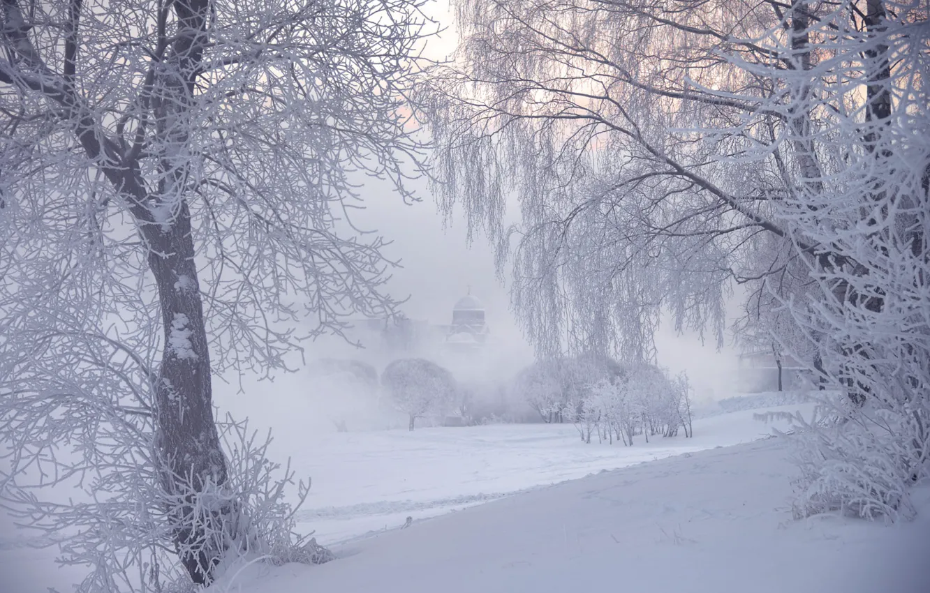 Фото обои зима, иней, деревья, туман, фотограф, Санкт-Петербург, Ed Gordeev