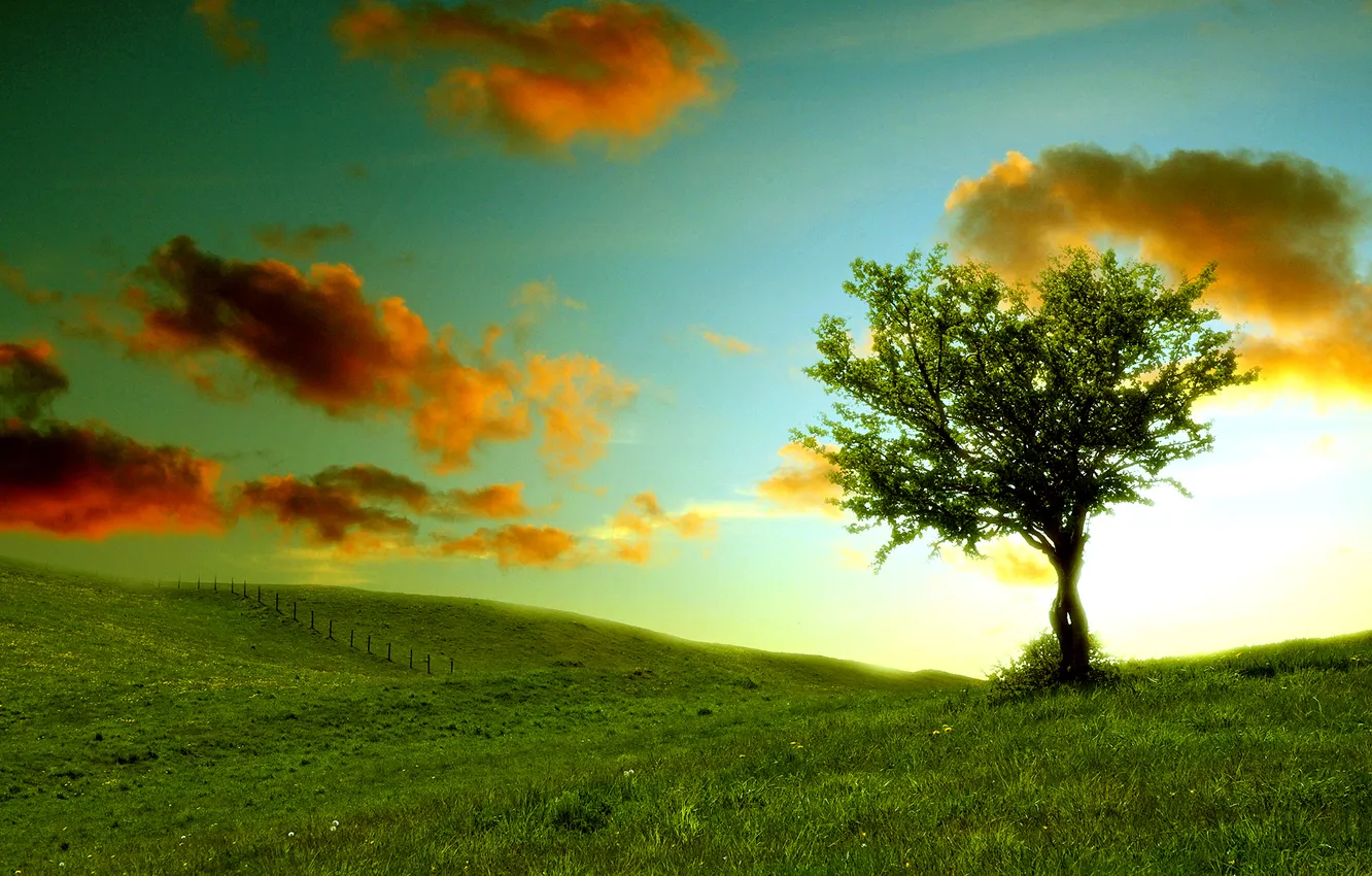 Фото обои небо, облака, пейзаж, природа, холмы, травка, зелень. дерево