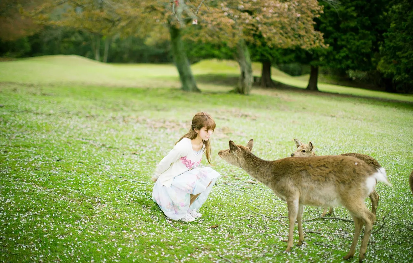 Фото обои Grass, Beautiful, Asian, Model, Woman, Pretty, Outdoor, Deer