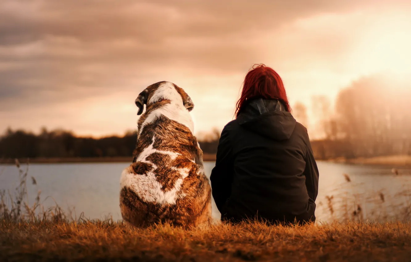 Фото обои girl, sunset, dog, moody, best friend