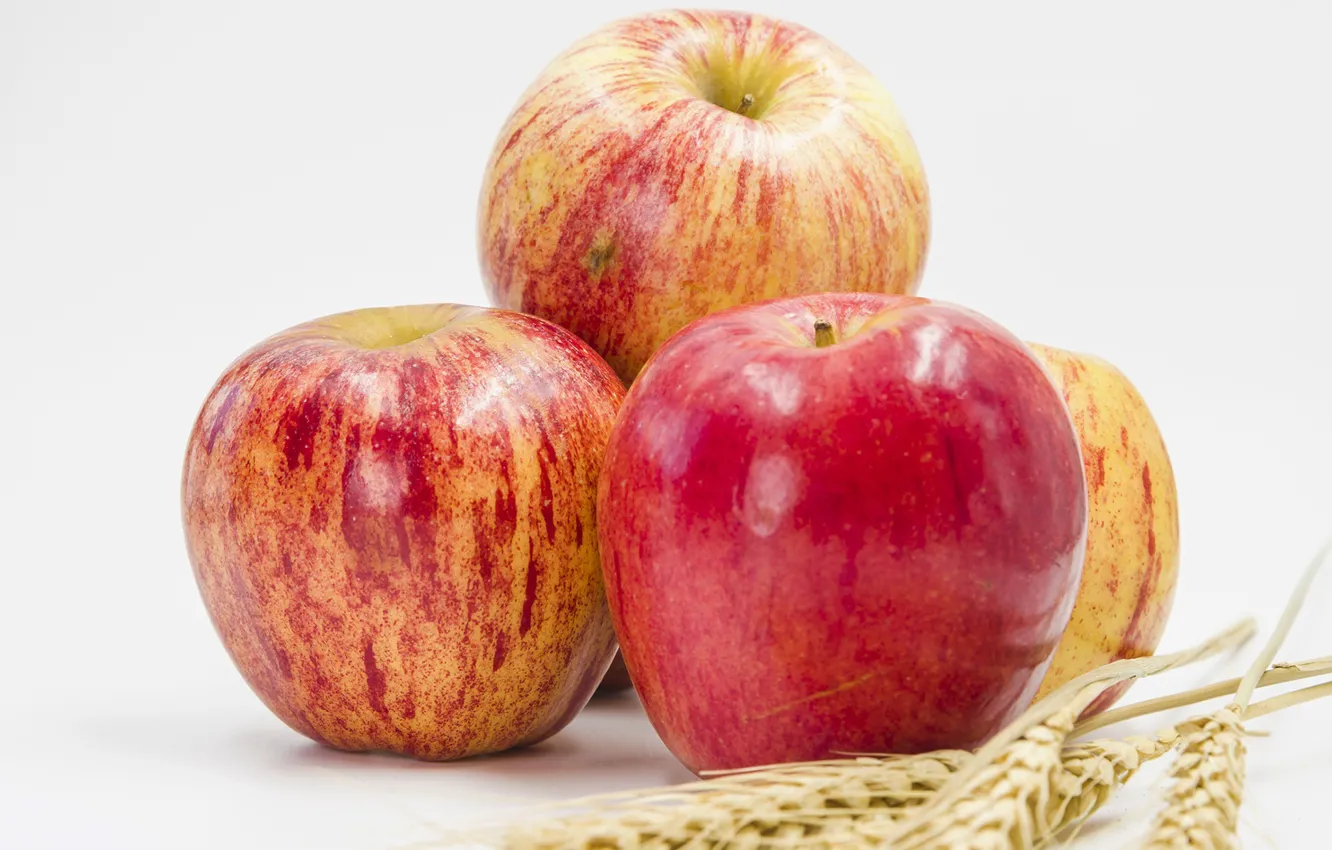 Фото обои пшеница, яблоки, Apples
