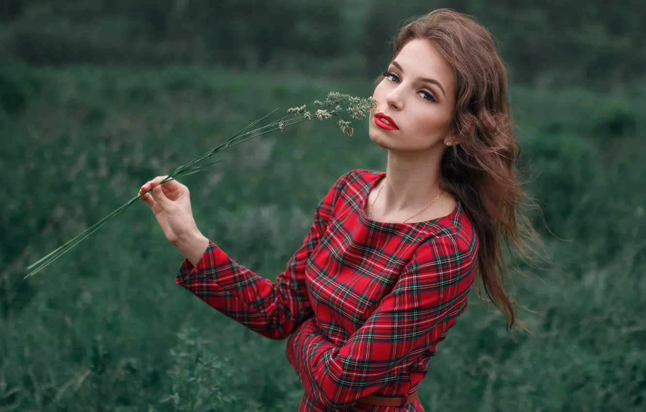 Фото обои взгляд, девушка, платье, Таня, Альберт Лесной