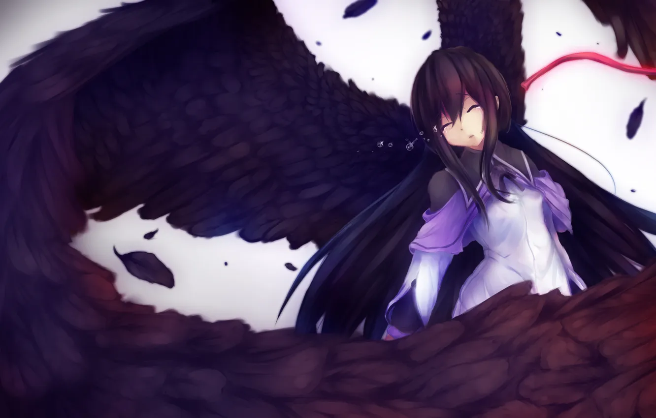 Фото обои девушка, крылья, перья, слезы, art, ленточка, mahou shoujo madoka magica, akemi homura