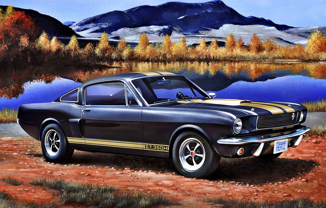 Фото обои Mustang, Ford, Shelby, Горы, Лес, USA, класса, GT350H