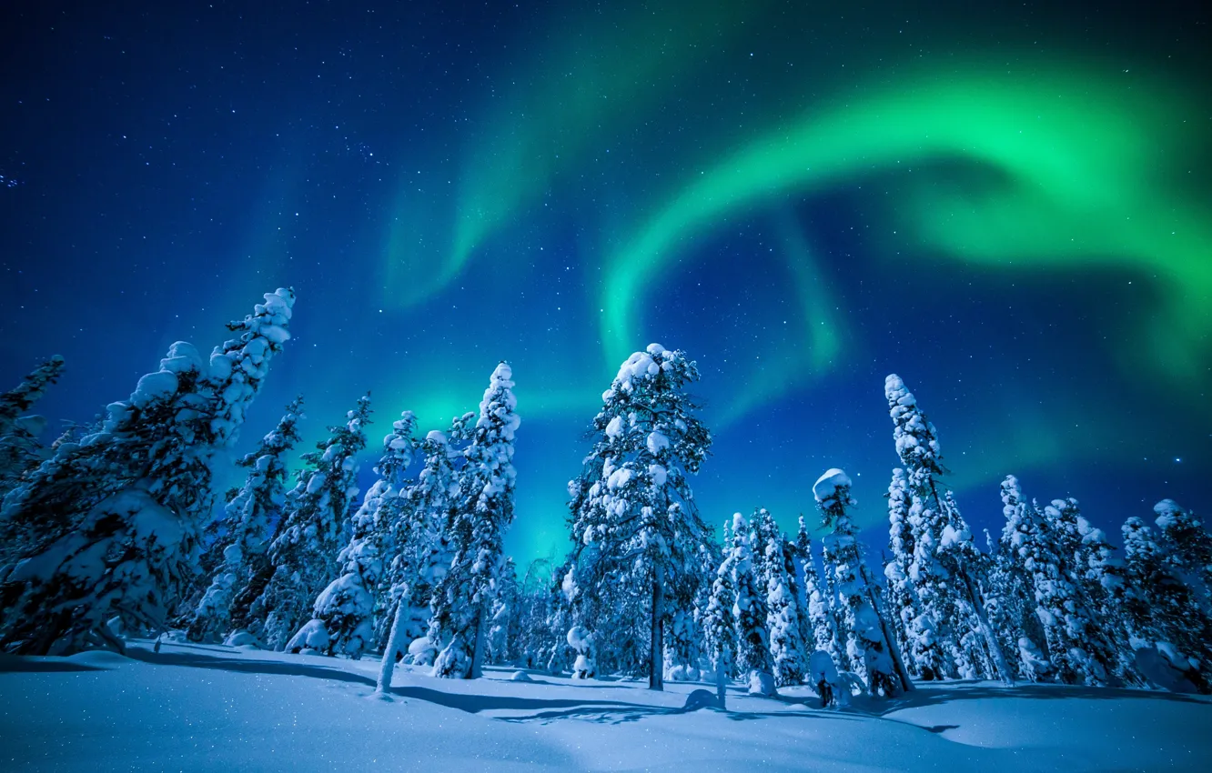 Фото обои зима, небо, снег, деревья, северное сияние, Финляндия, Finland, Lapland