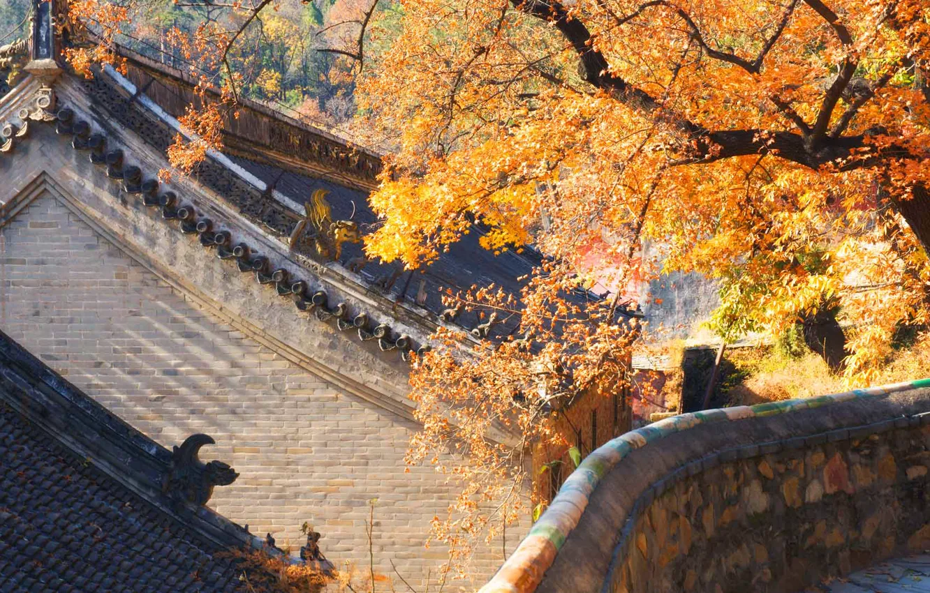 Фото обои крыша, осень, дом, Китай, Пекин