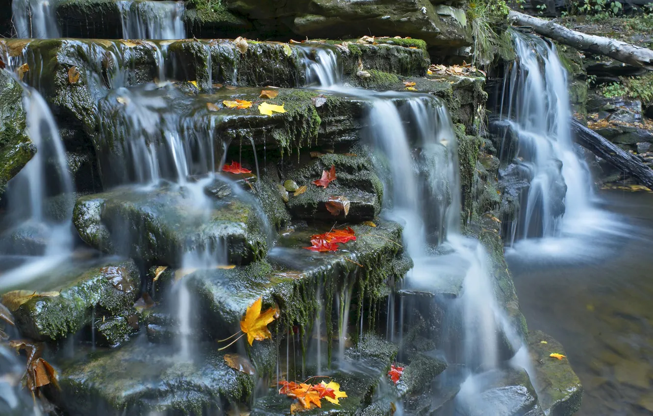 Фото обои осень, листья, река, ручей, камни, поток, каскад