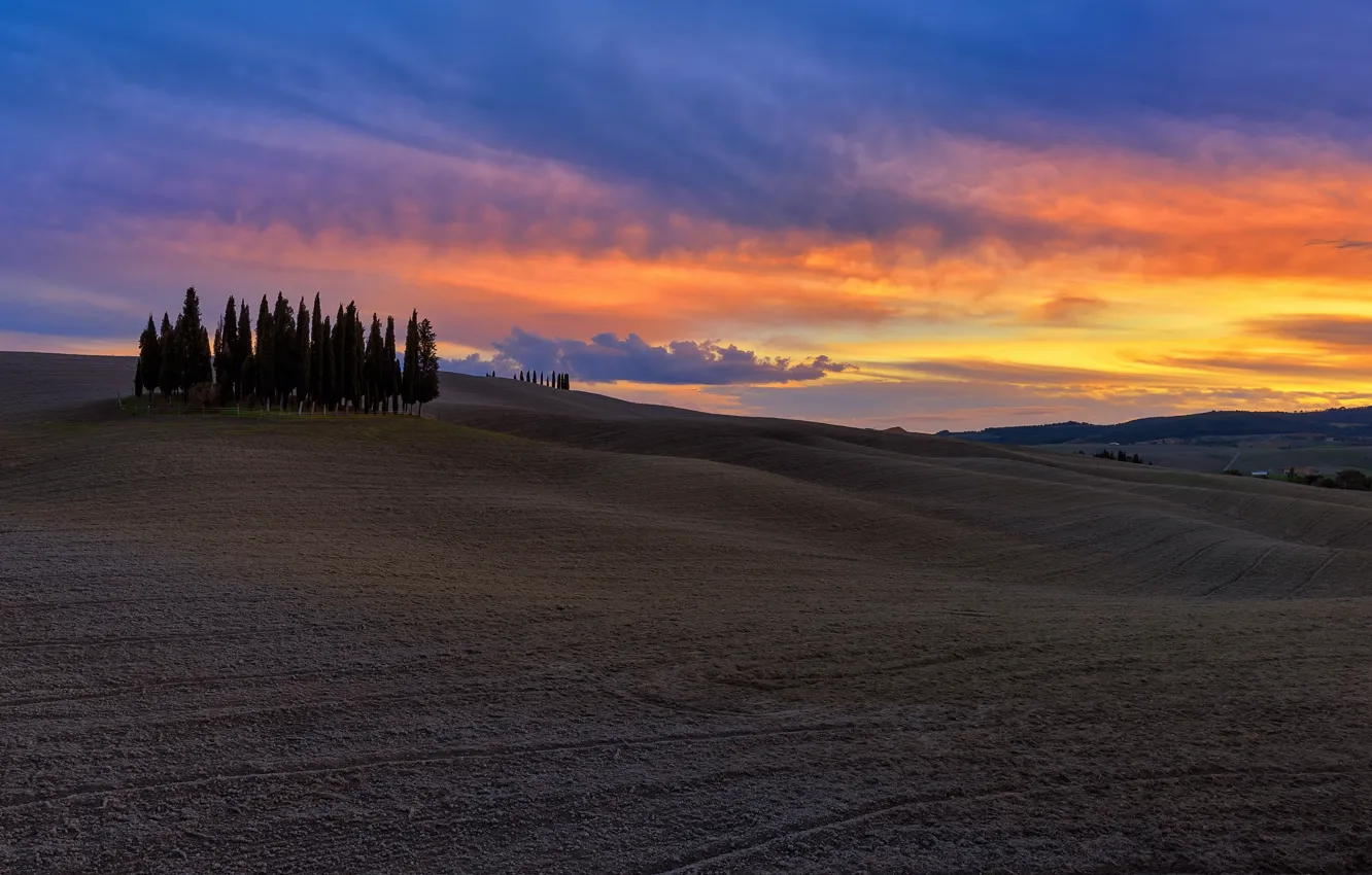 Фото обои landscape, toscana, Cypresses of Torrenieri, warm light