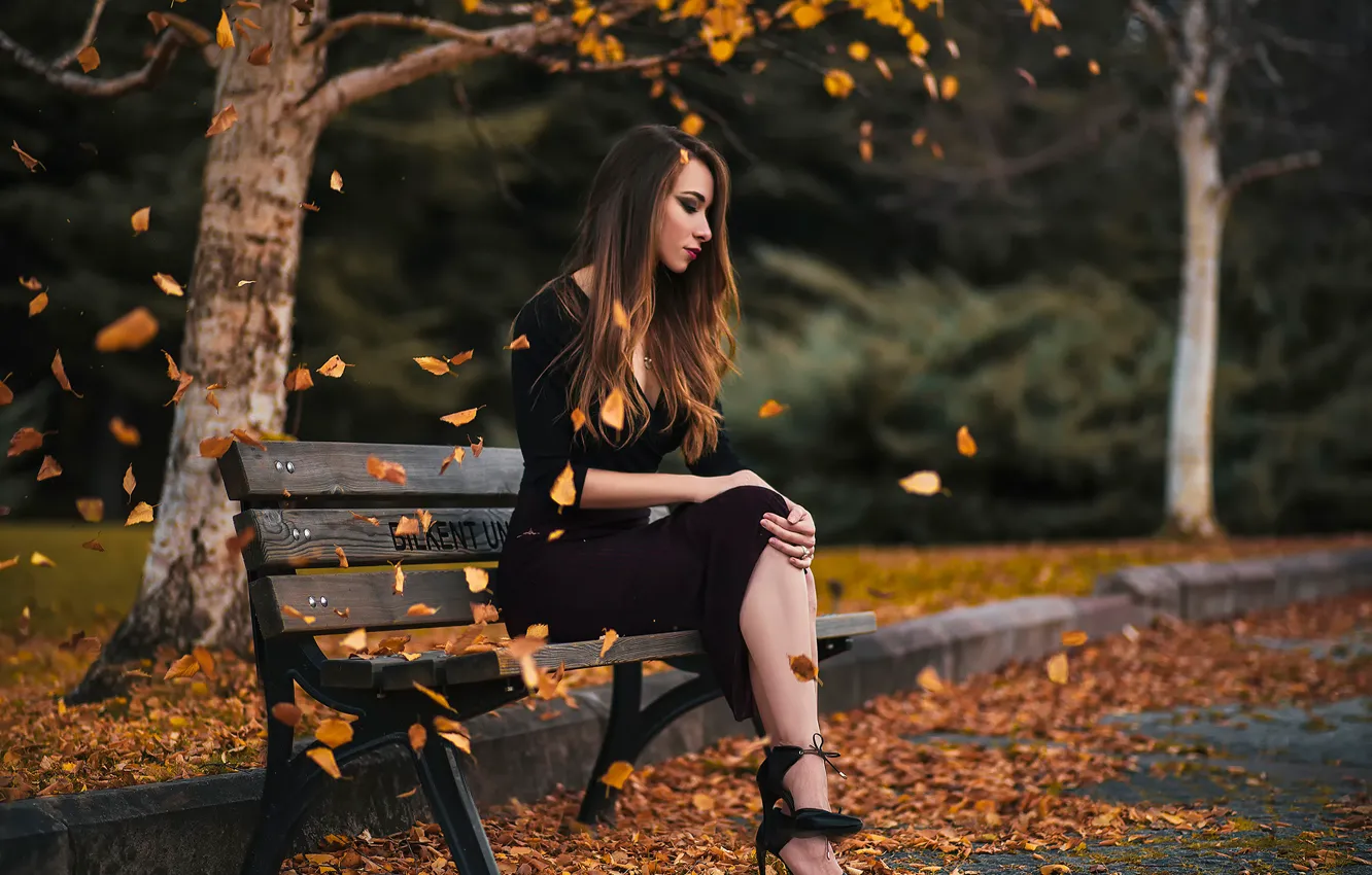 Фото обои осень, девушка, парк, листопад, скамья