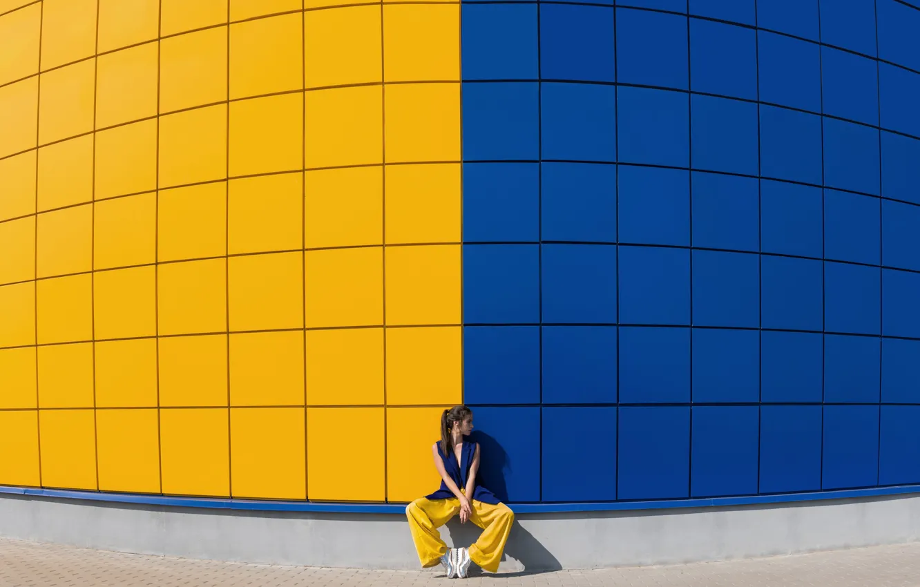 Фото обои синий, жёлтый, стена, цвет, yellow and blue