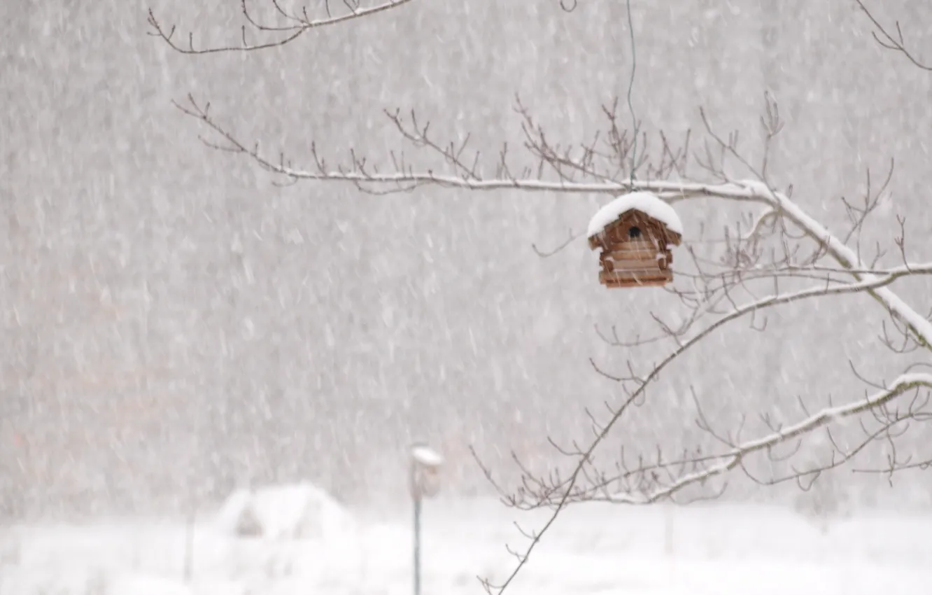 Фото обои зима, домик, метель