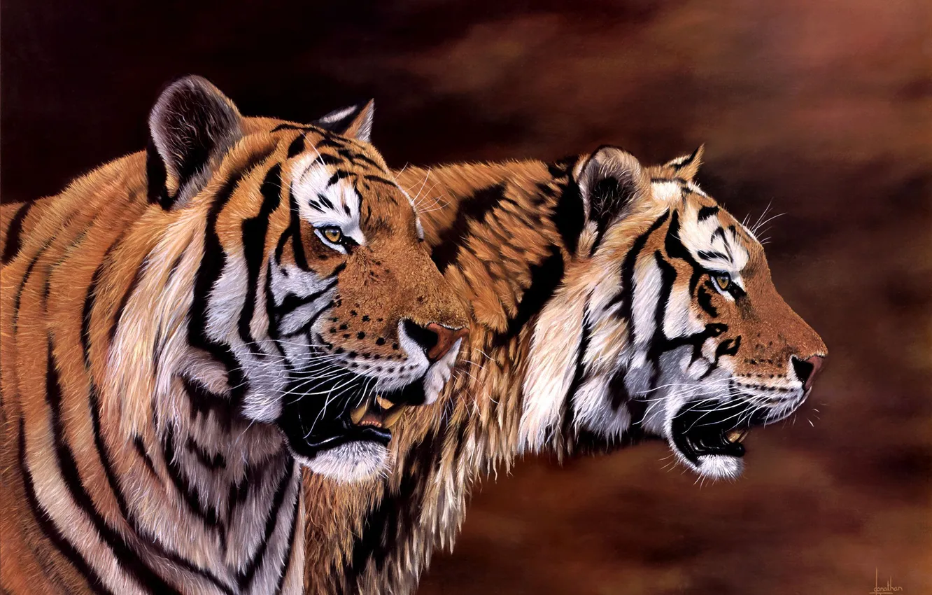 Фото обои арт, тигры, Jonathan Truss