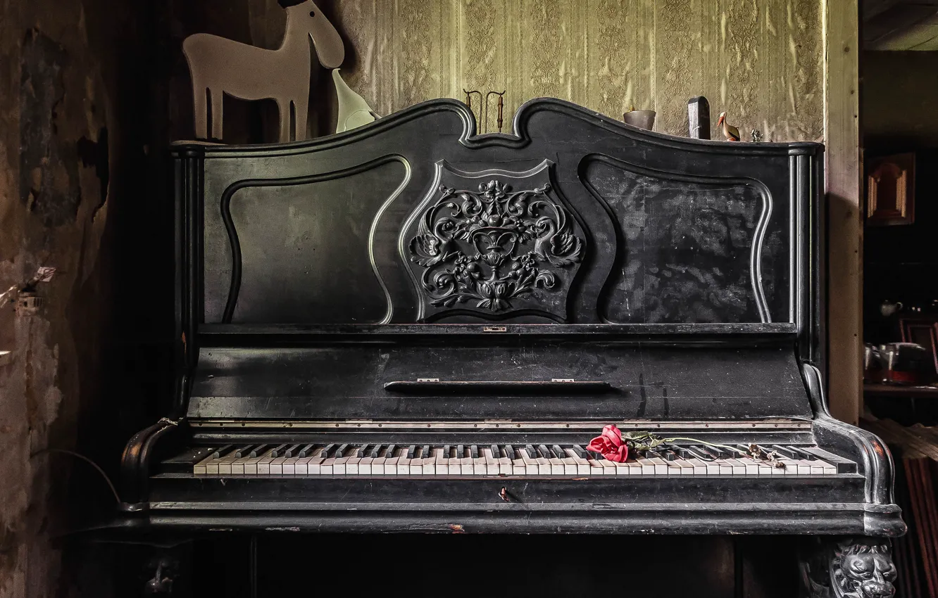 Фото обои музыка, роза, пианино