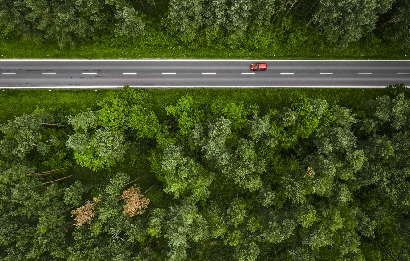 Фото обои forest, road, trees, route, vehicle