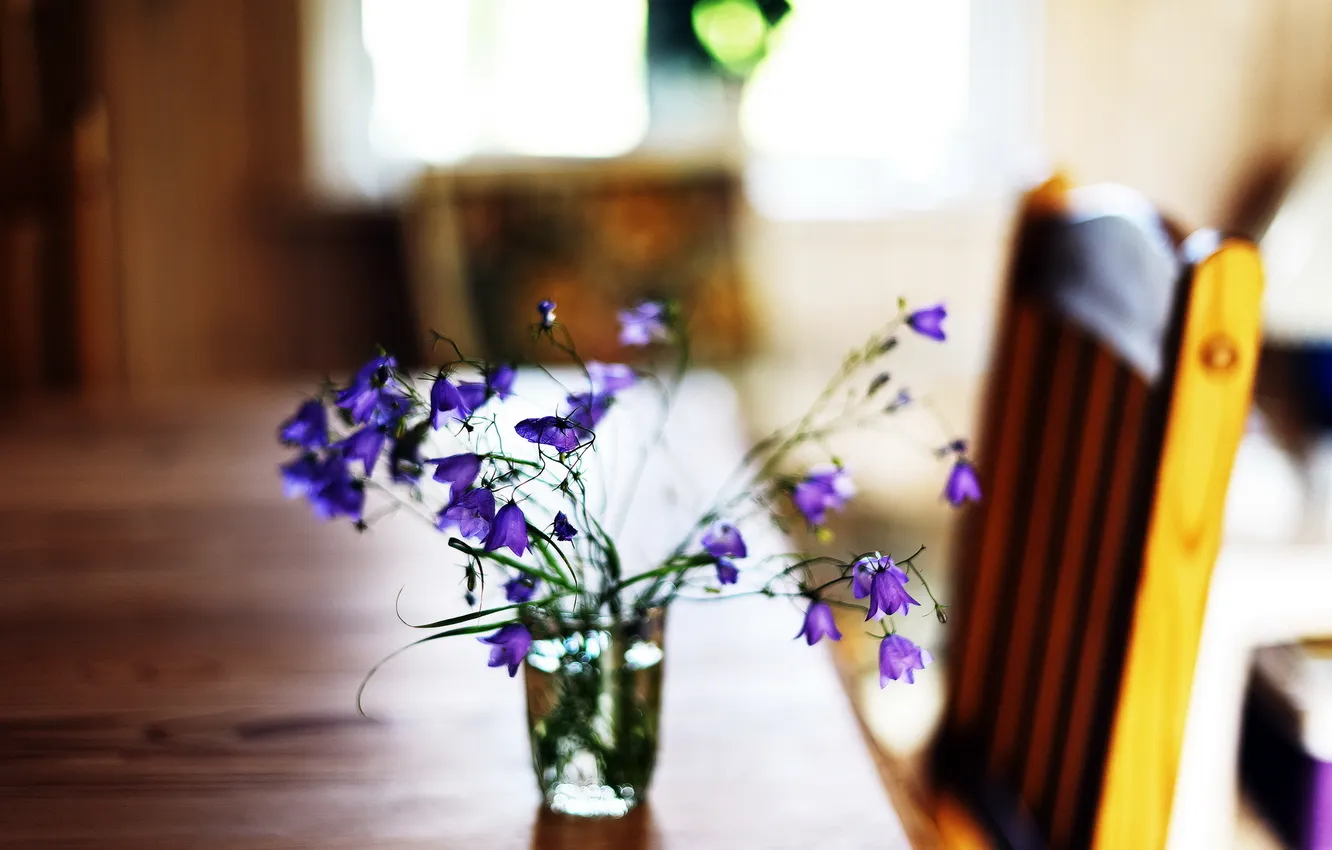 Фото обои макро, цветы, стол