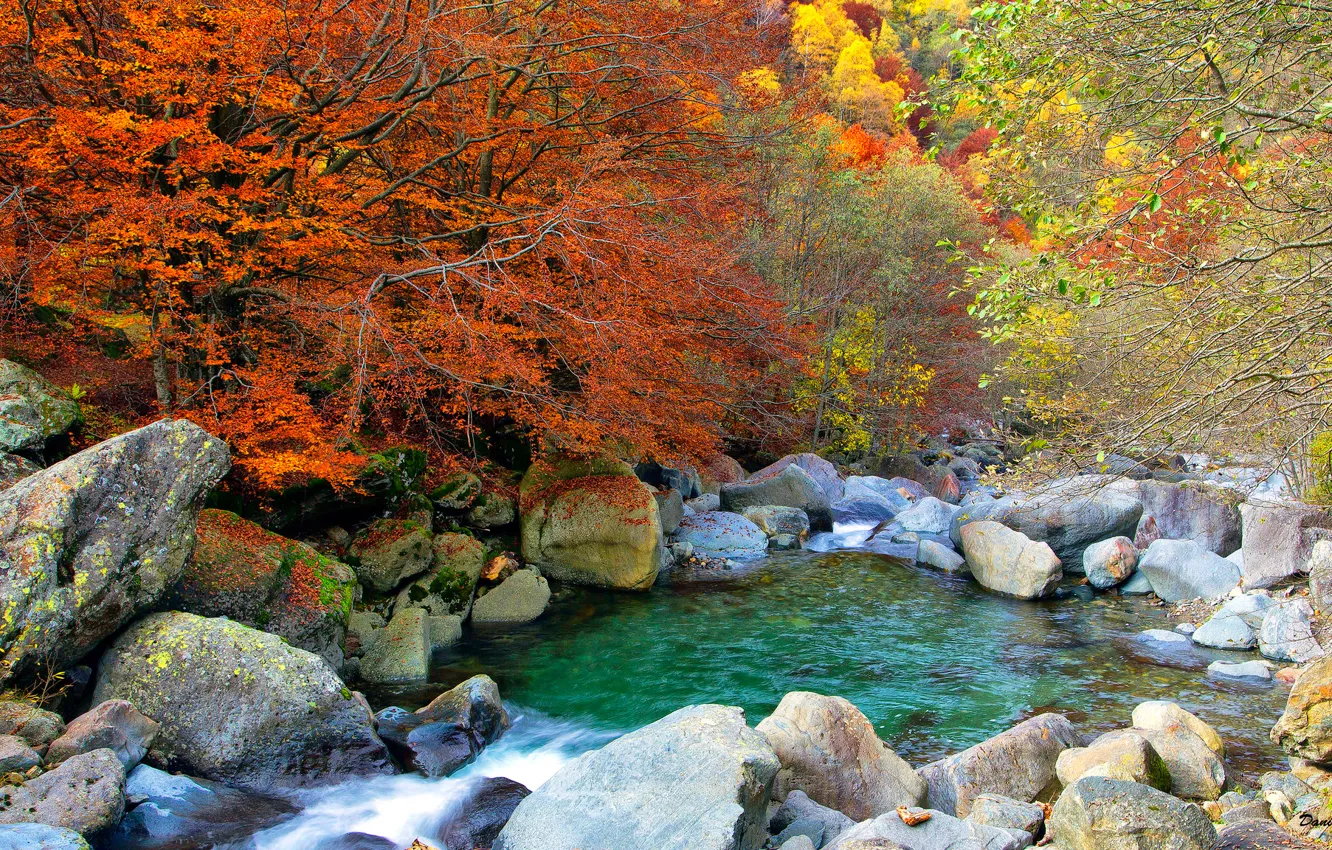 Фото обои осень, лес, деревья, озеро, камни