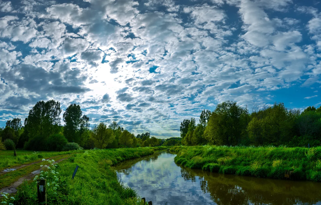 Фото обои небо, облака, деревья, природа, река