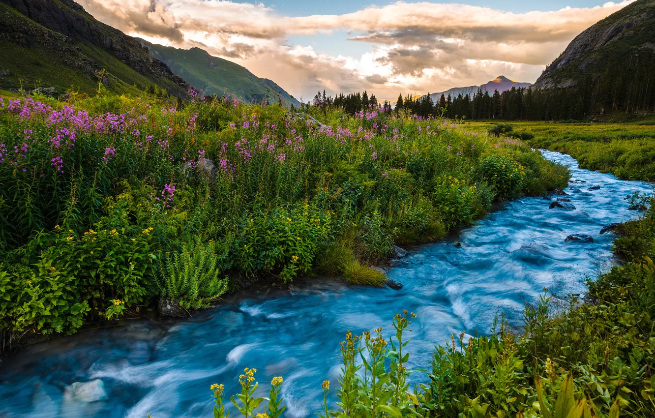 Фото обои лето, пейзаж, закат, цветы, горы, река, Колорадо, США