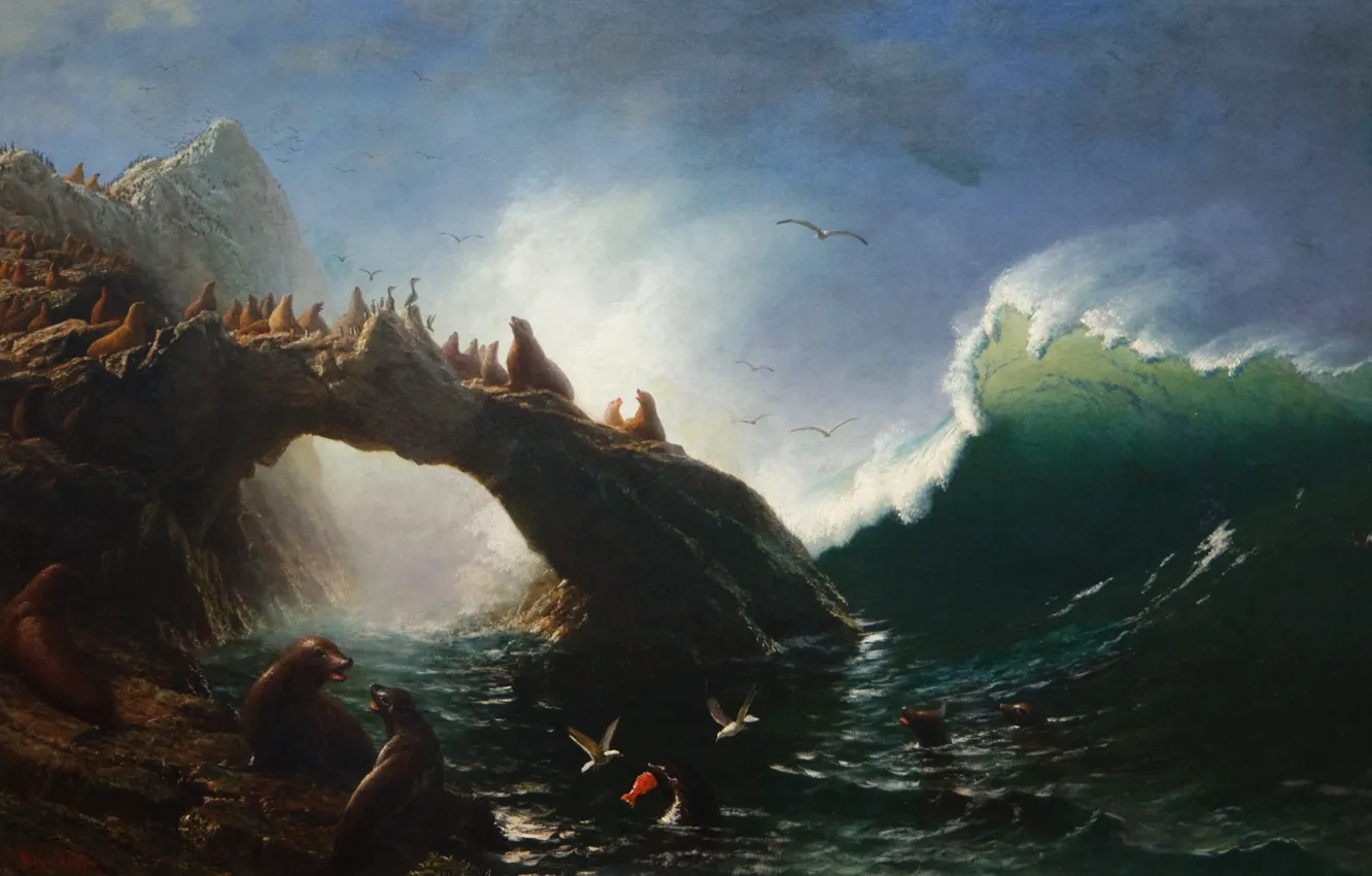 Фото обои картина, морской пейзаж, тюлени, Альберт Бирштадт, Остров Фараллон