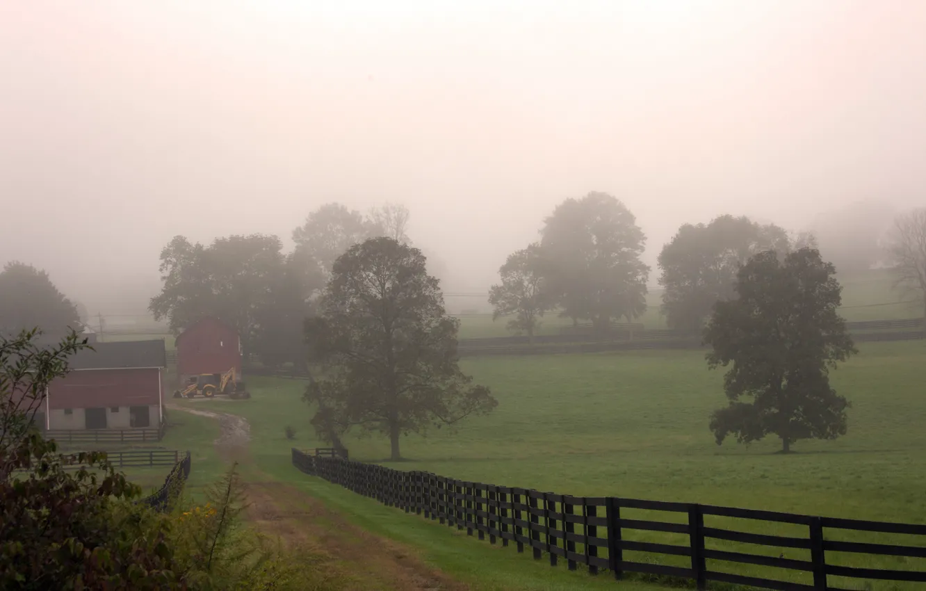Фото обои поле, деревья, туман, село, утро, Осень, дорожка, trees