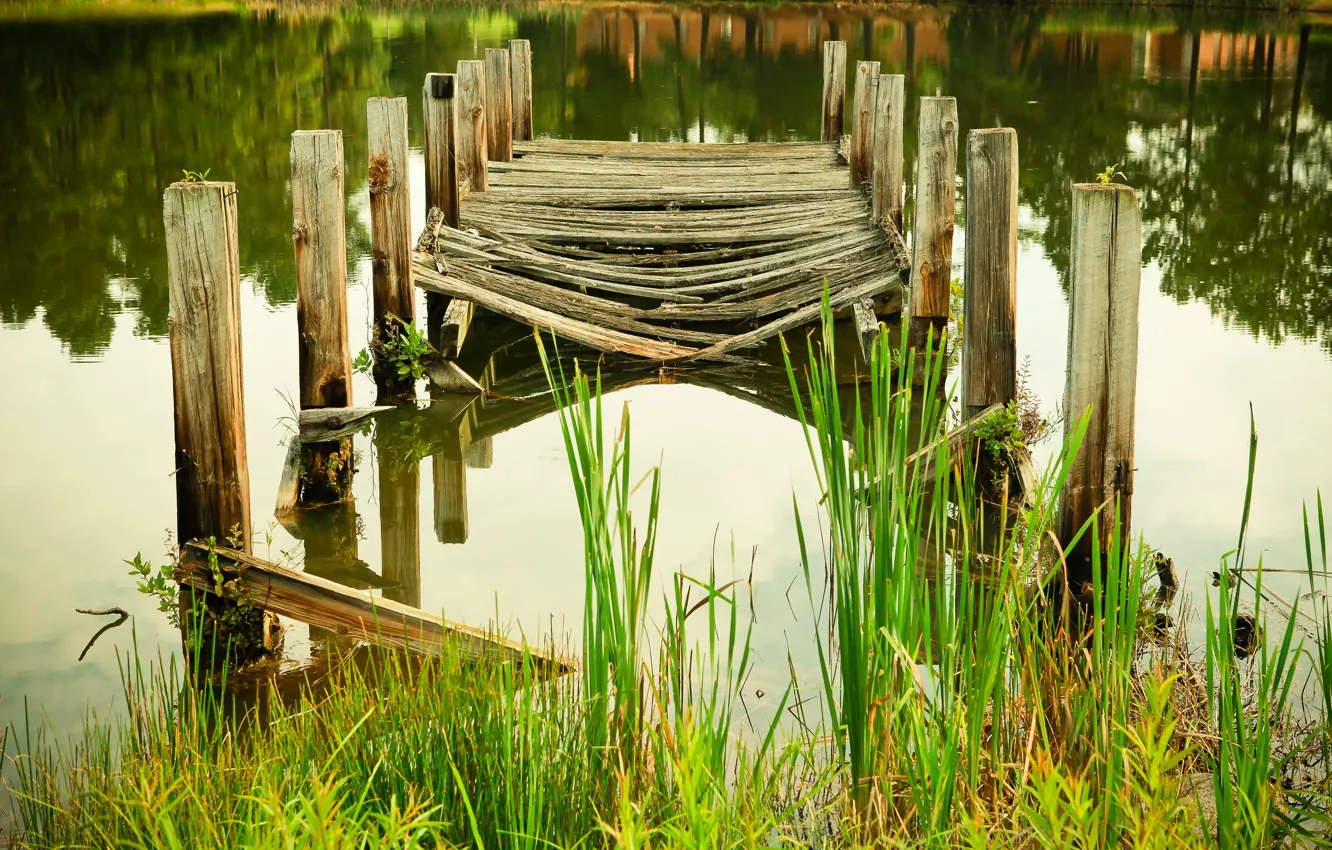 Фото обои вода, озеро, пруд, река, растение, мостик