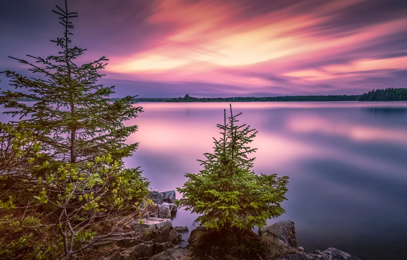 Фото обои деревья, пейзаж, закат, природа, озеро, камни, США, национальный парк