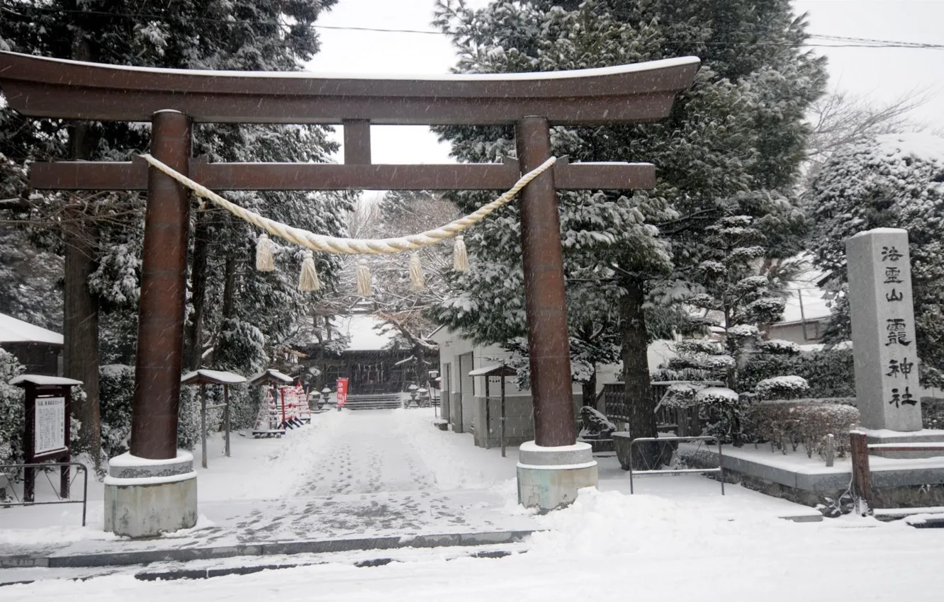 Фото обои снег, Япония, врата
