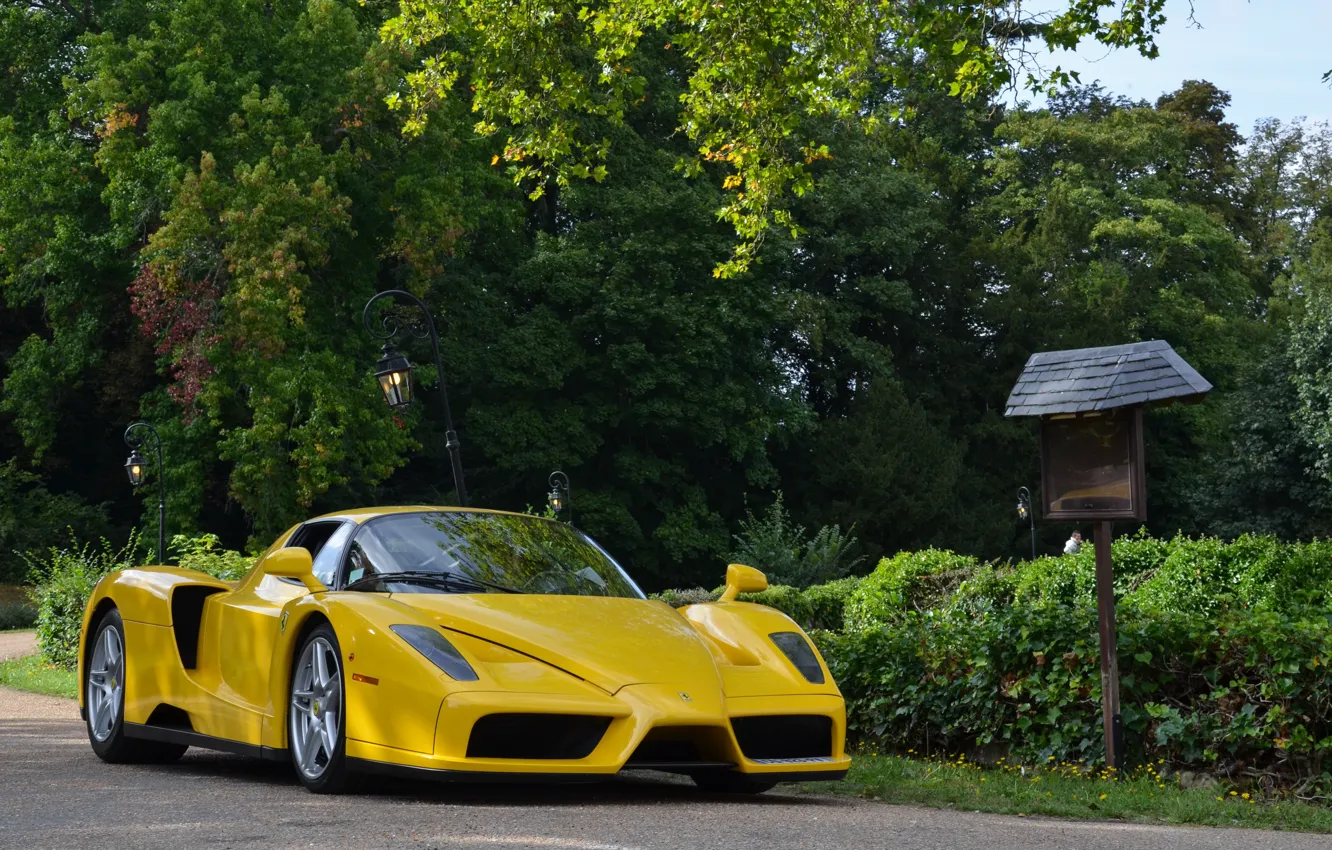 Фото обои supercar, ferrari, enzo, yellow