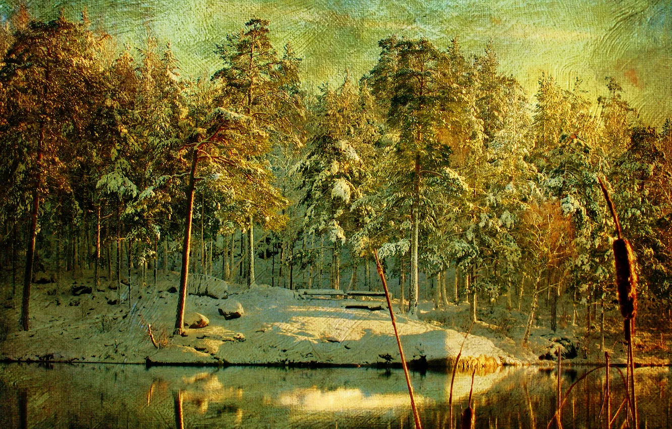 Фото обои зима, лес, снег, деревья, река, холст