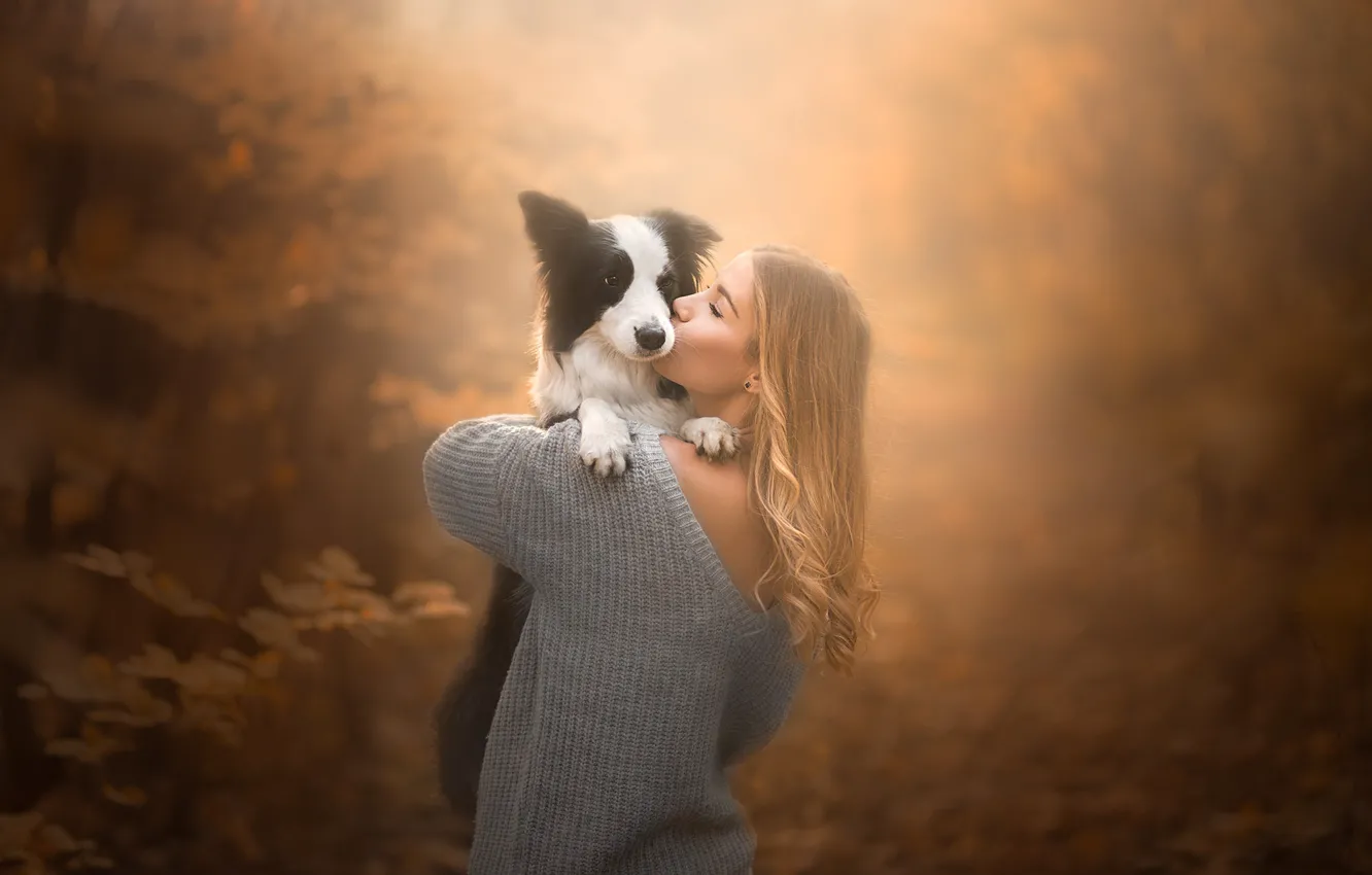 Фото обои осень, девушка, настроение, собака, дружба, друзья, боке, Бордер-колли