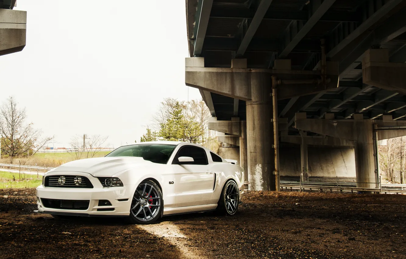 Фото обои Mustang, Ford, Форд, Muscle, Мустанг, Car, 5.0