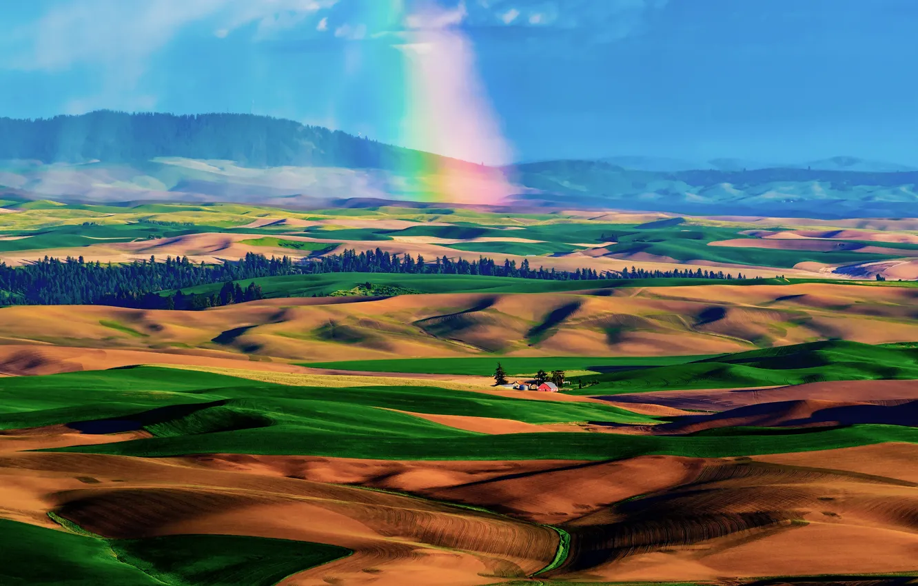 Фото обои небо, холмы, поля, радуга, долина, домик, ковры