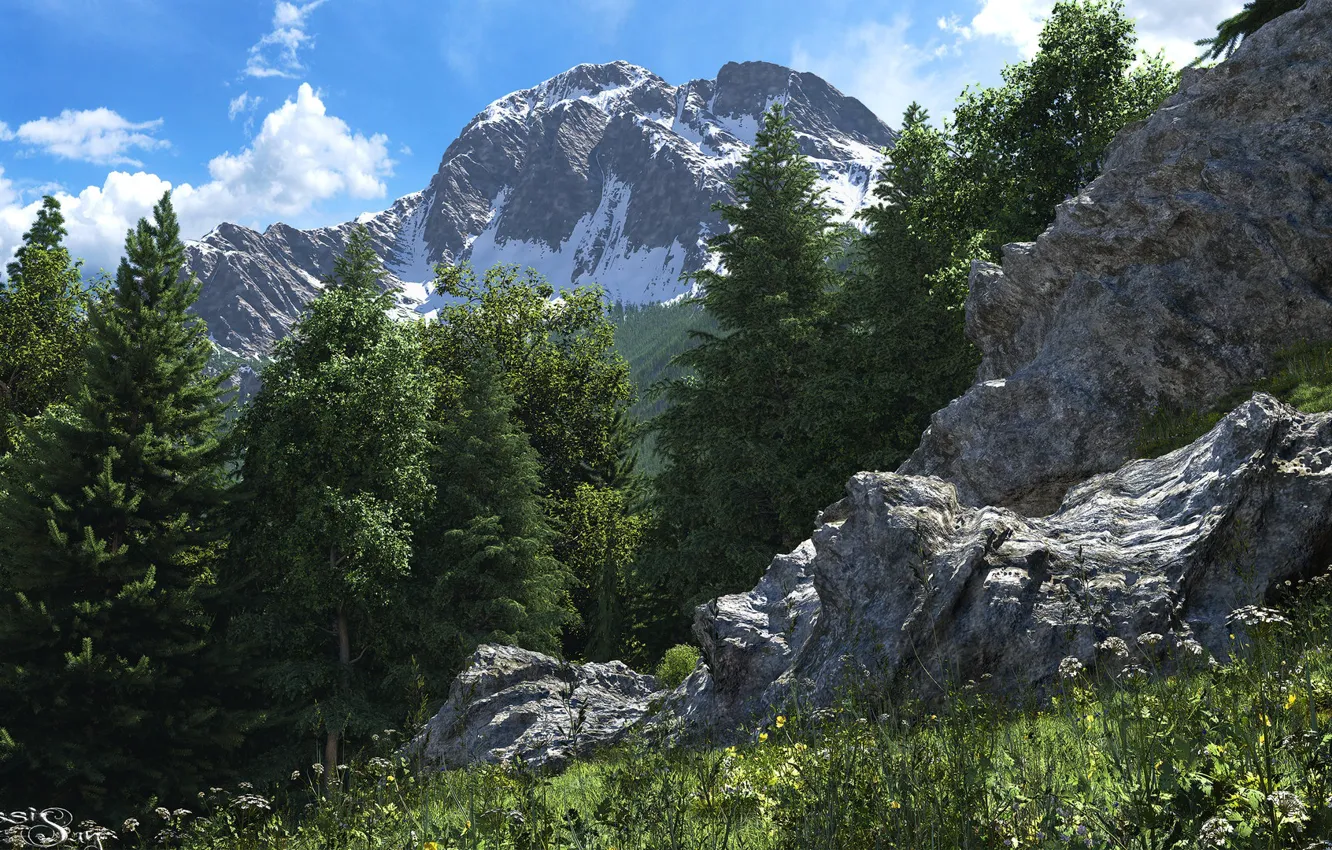 Фото обои лес, горы, камни, растительность, steep fir slope