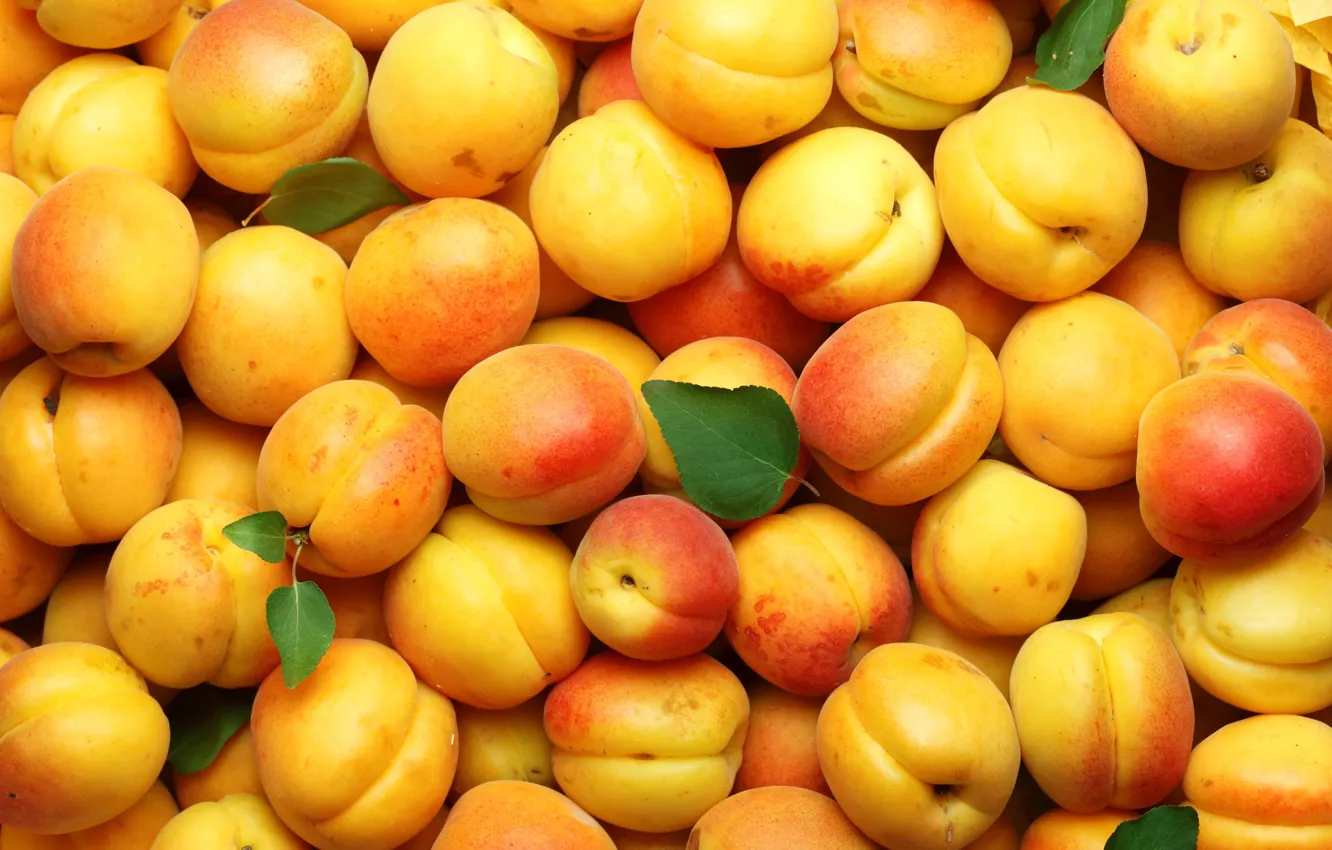 Фото обои фрукты, абрикосы, apricot