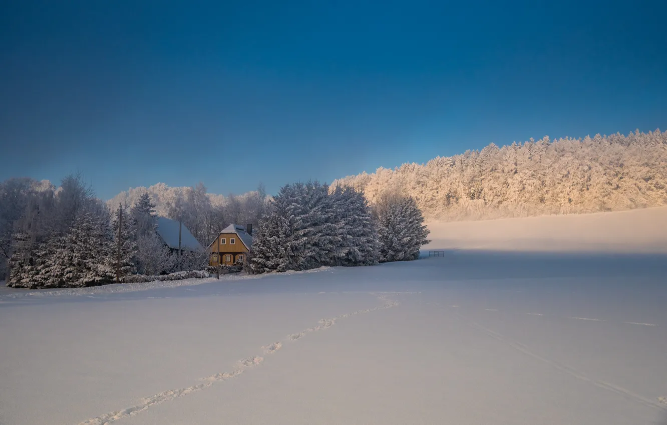 Фото обои зима, лес, небо, следы, дом, Снег