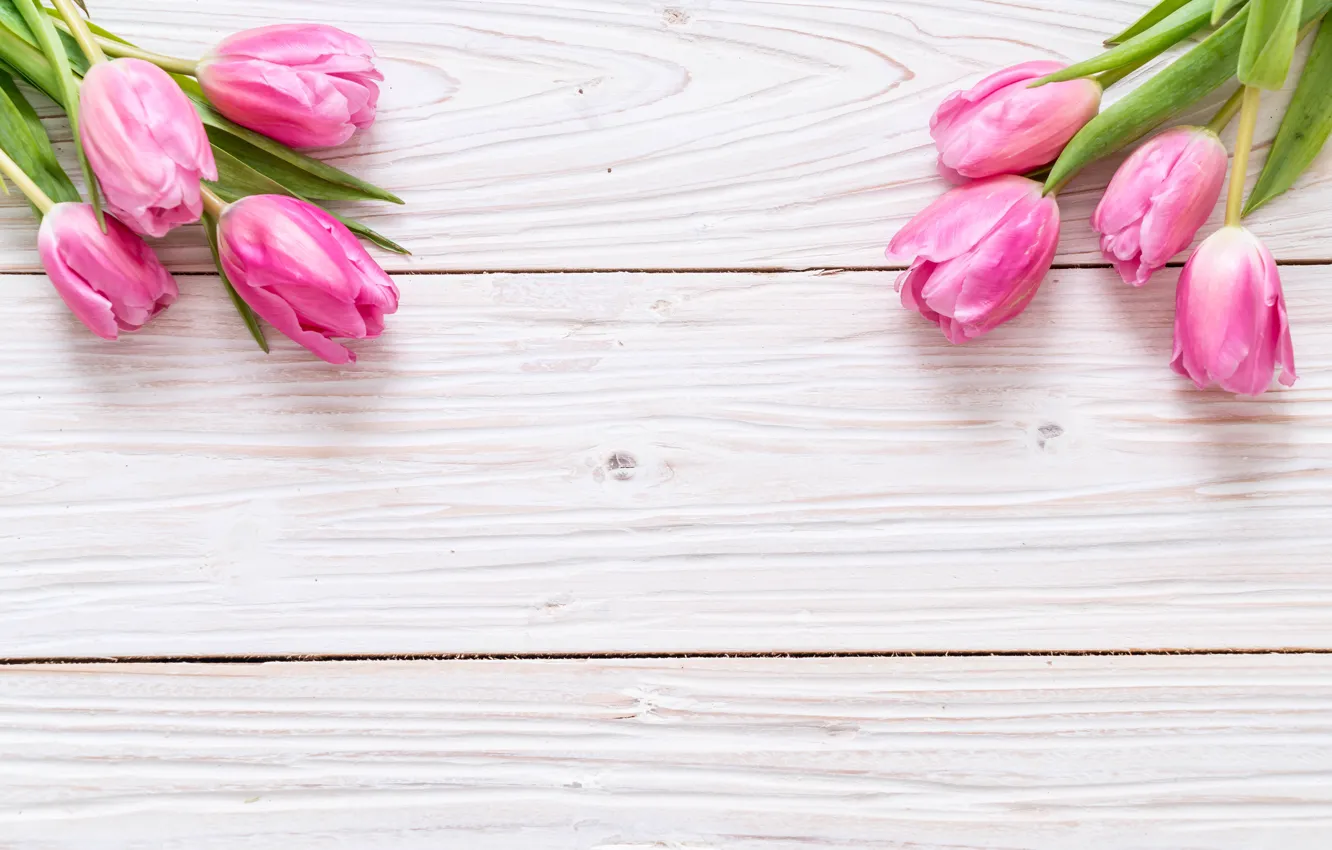 Фото обои цветы, фон, розовый, букет, тюльпаны