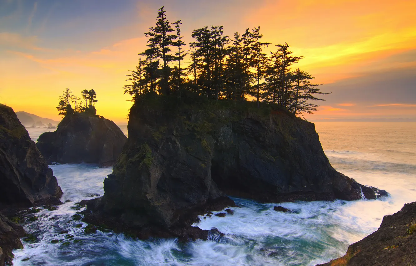 Фото обои деревья, океан, скалы, рассвет, Oregon, USА, Carpenterville