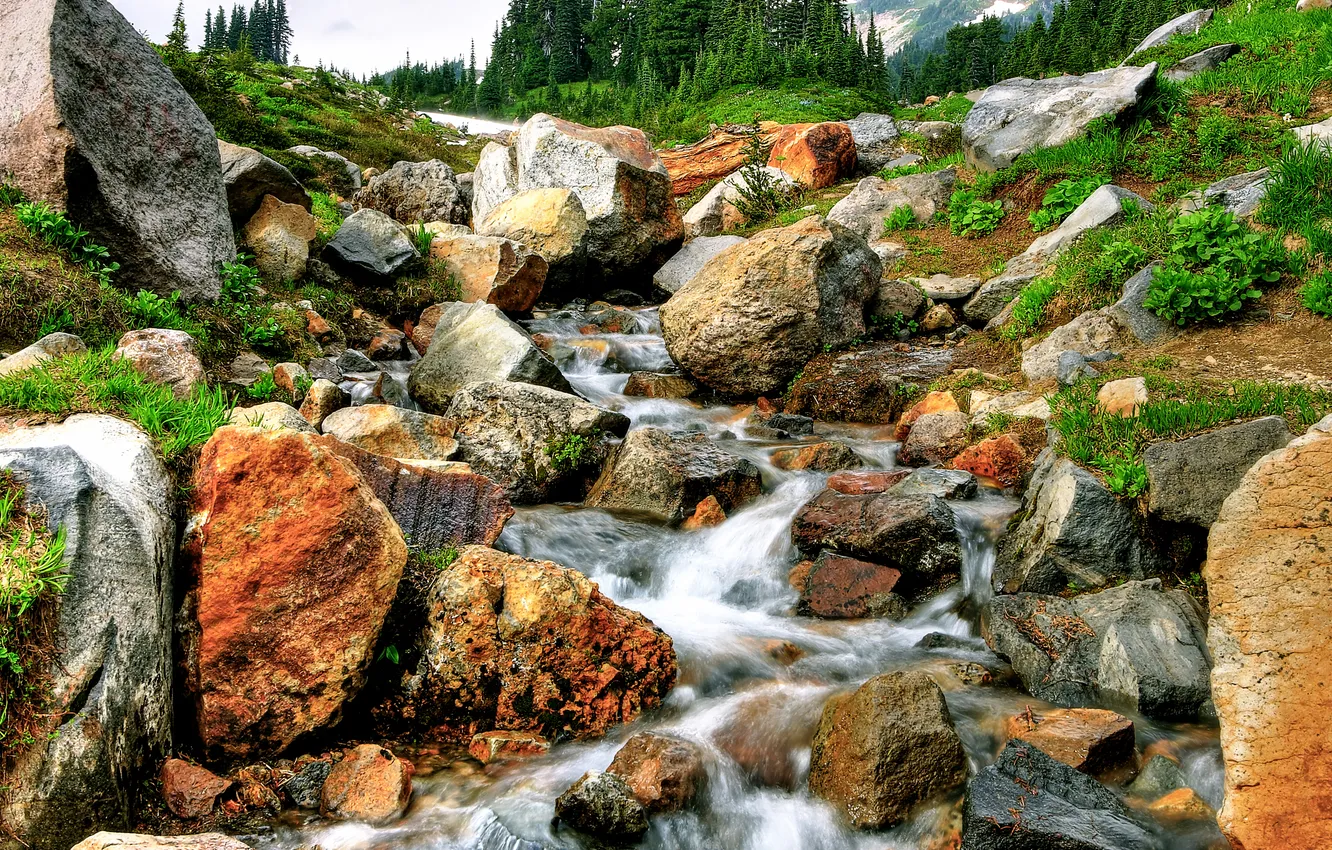 Фото обои трава, деревья, горы, река, камни, поток