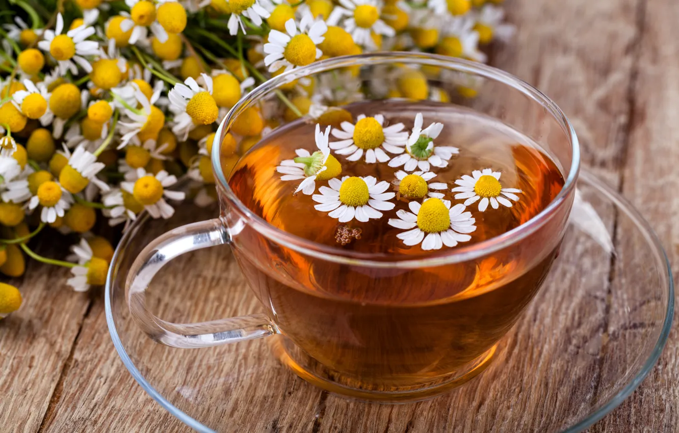 Фото обои чай, ромашка, цветки
