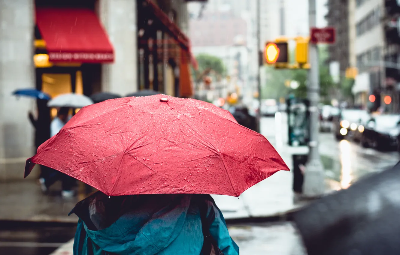 Фото обои город, дождь, улица, зонт