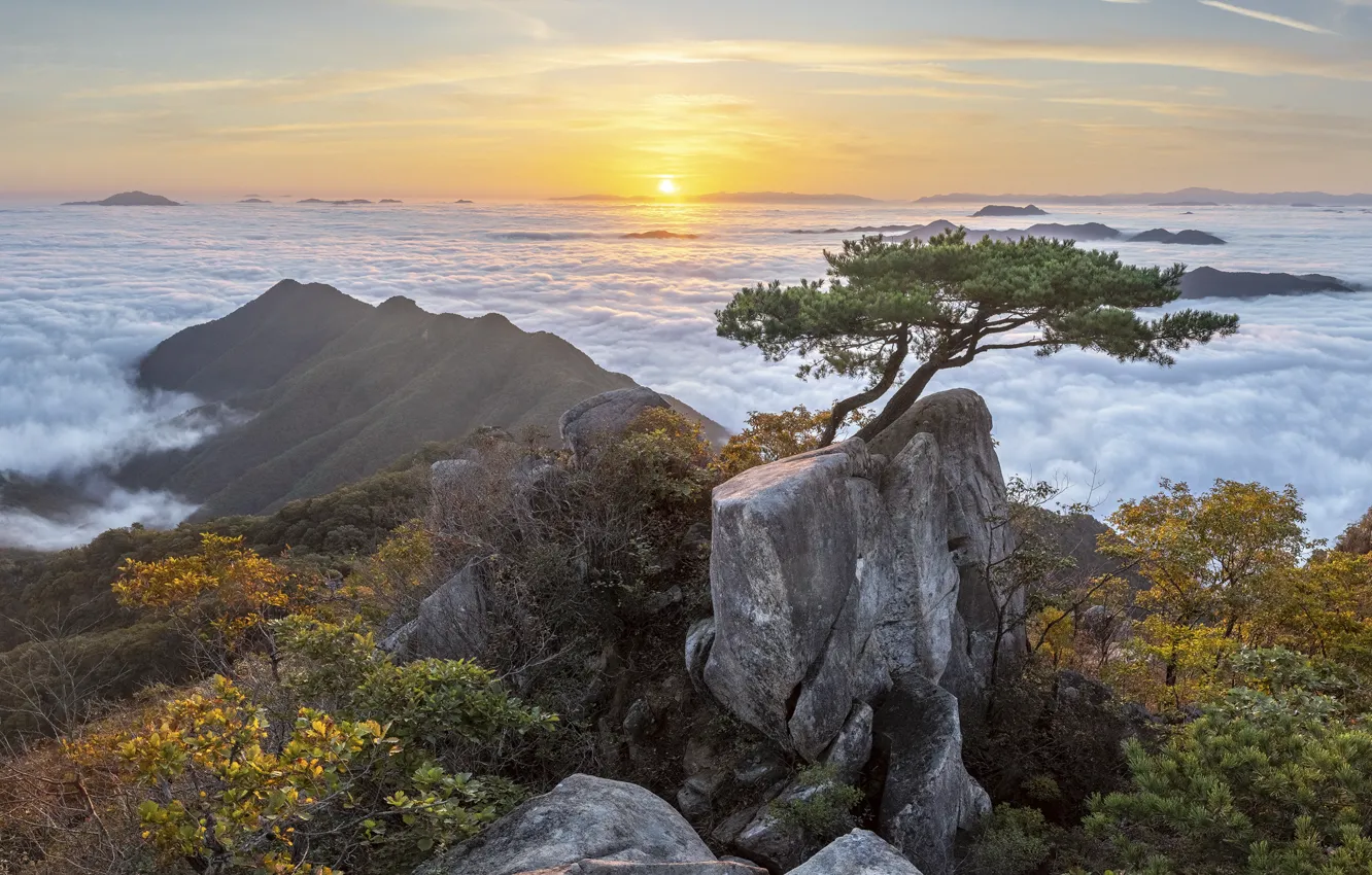 Фото обои осень, солнце, облака, пейзаж, горы, природа, туман, дерево